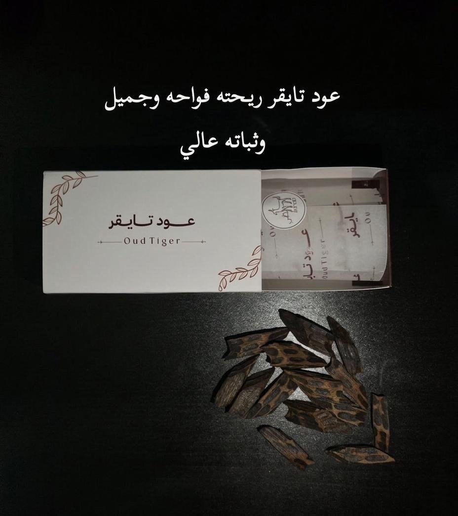 WhatsApp-Image-2026-05-15-at-1.40.39-PM-1.jpeg O3 - الصورة 1